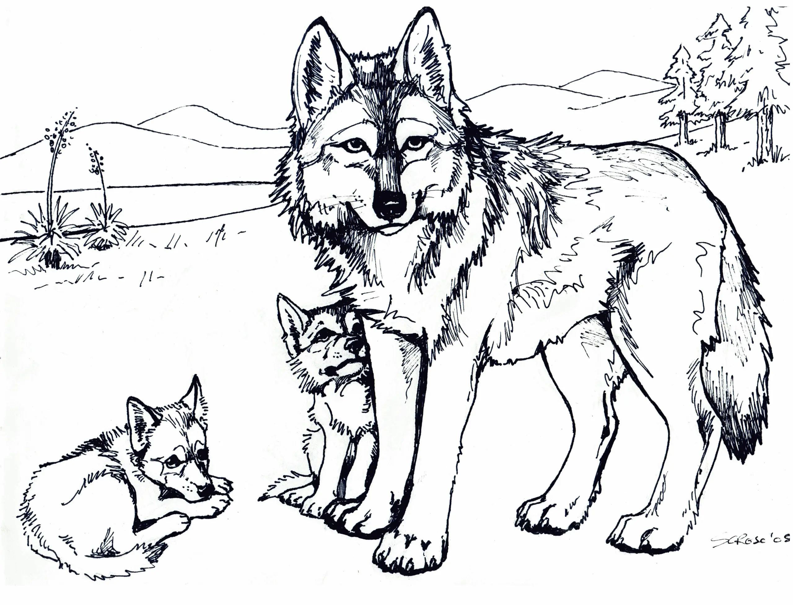 Wolf Ausmalbilder 13