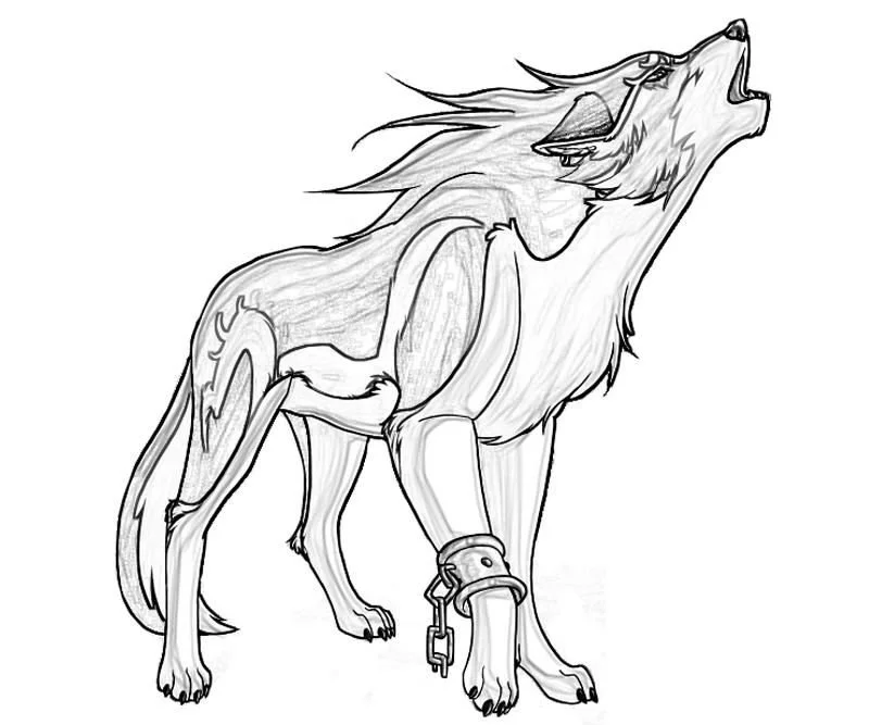 Wolf Ausmalbilder 29