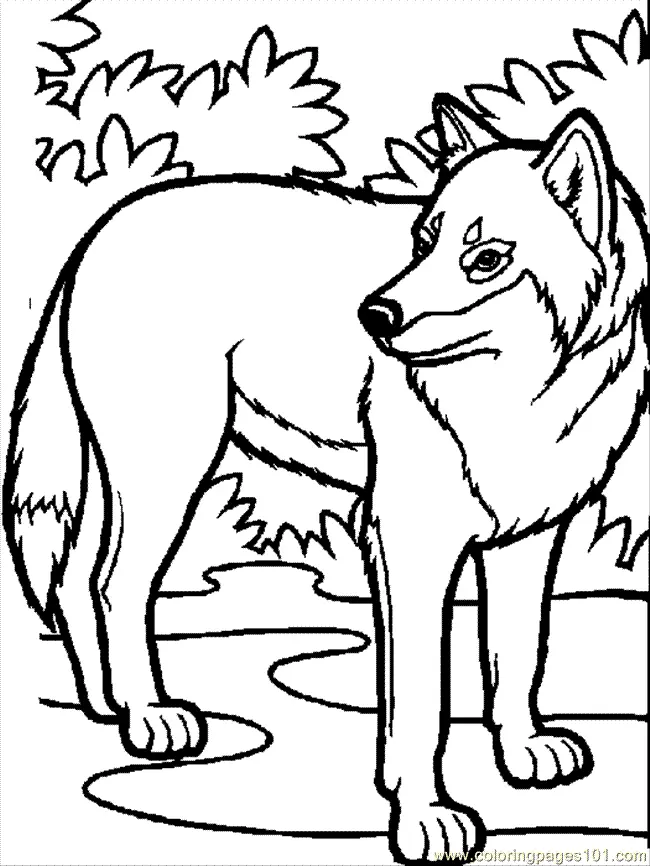 Wolf Ausmalbilder 33