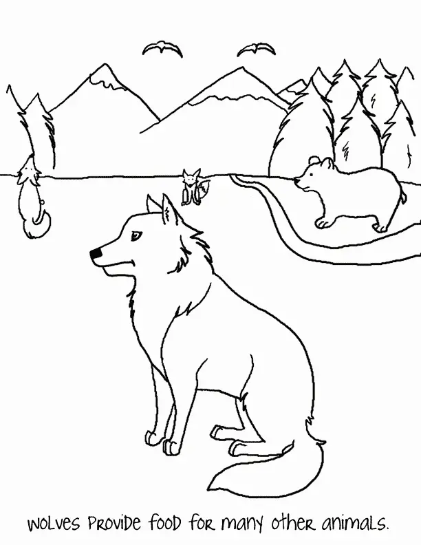 Wolf Ausmalbilder 43