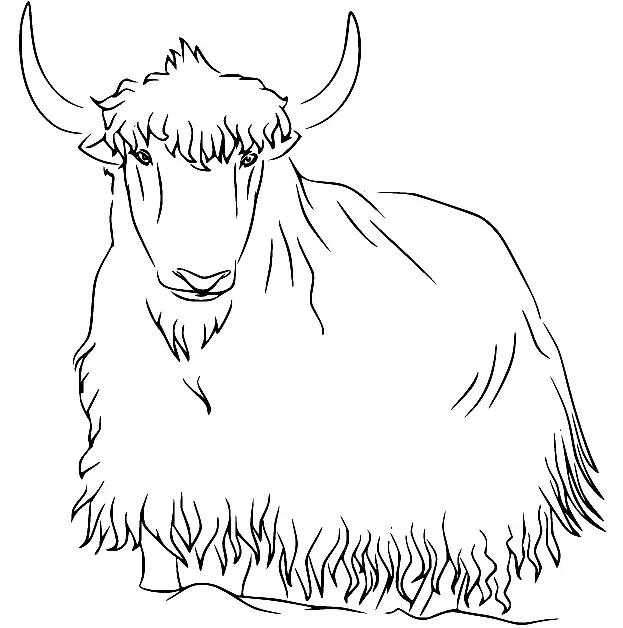 Yak Para Colorear 30