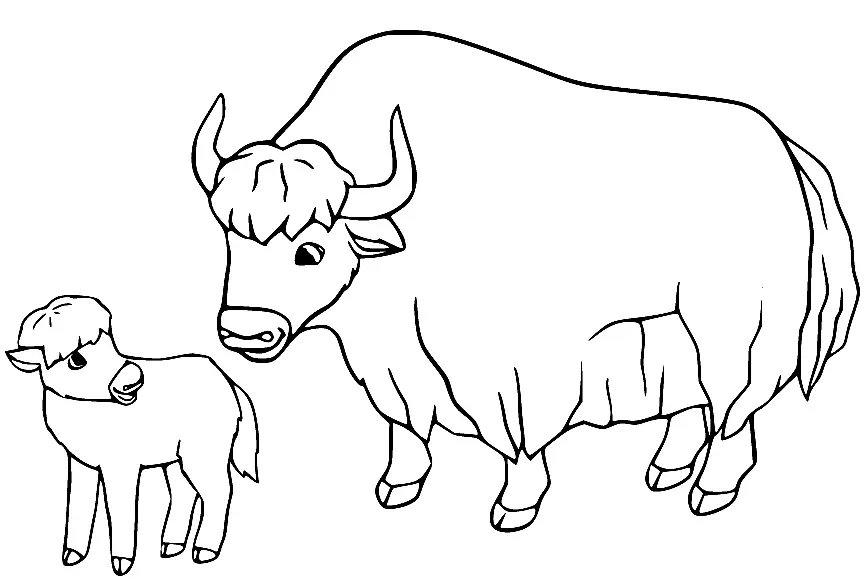 Yak Para Colorear 8