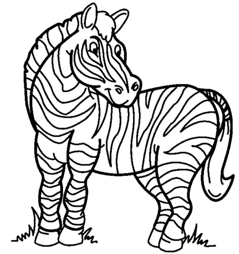 Cebra Para Colorear 2
