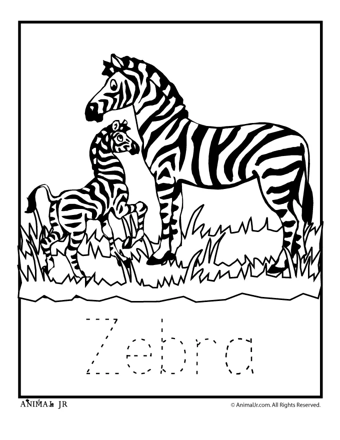 Cebra Para Colorear 9