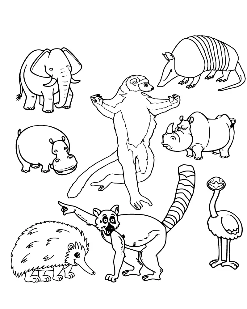 Zoboomafoo Coloring Pages 6